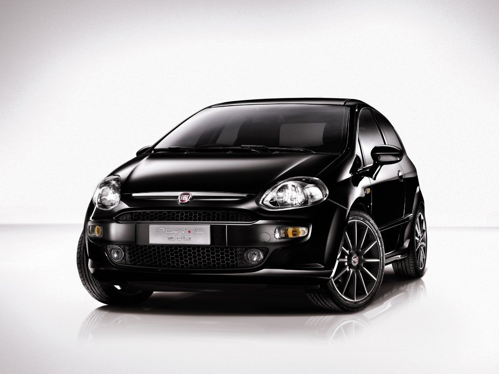 Fiat Punto 2009 - 2012