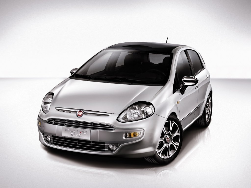 Fiat Punto 2009 - 2012