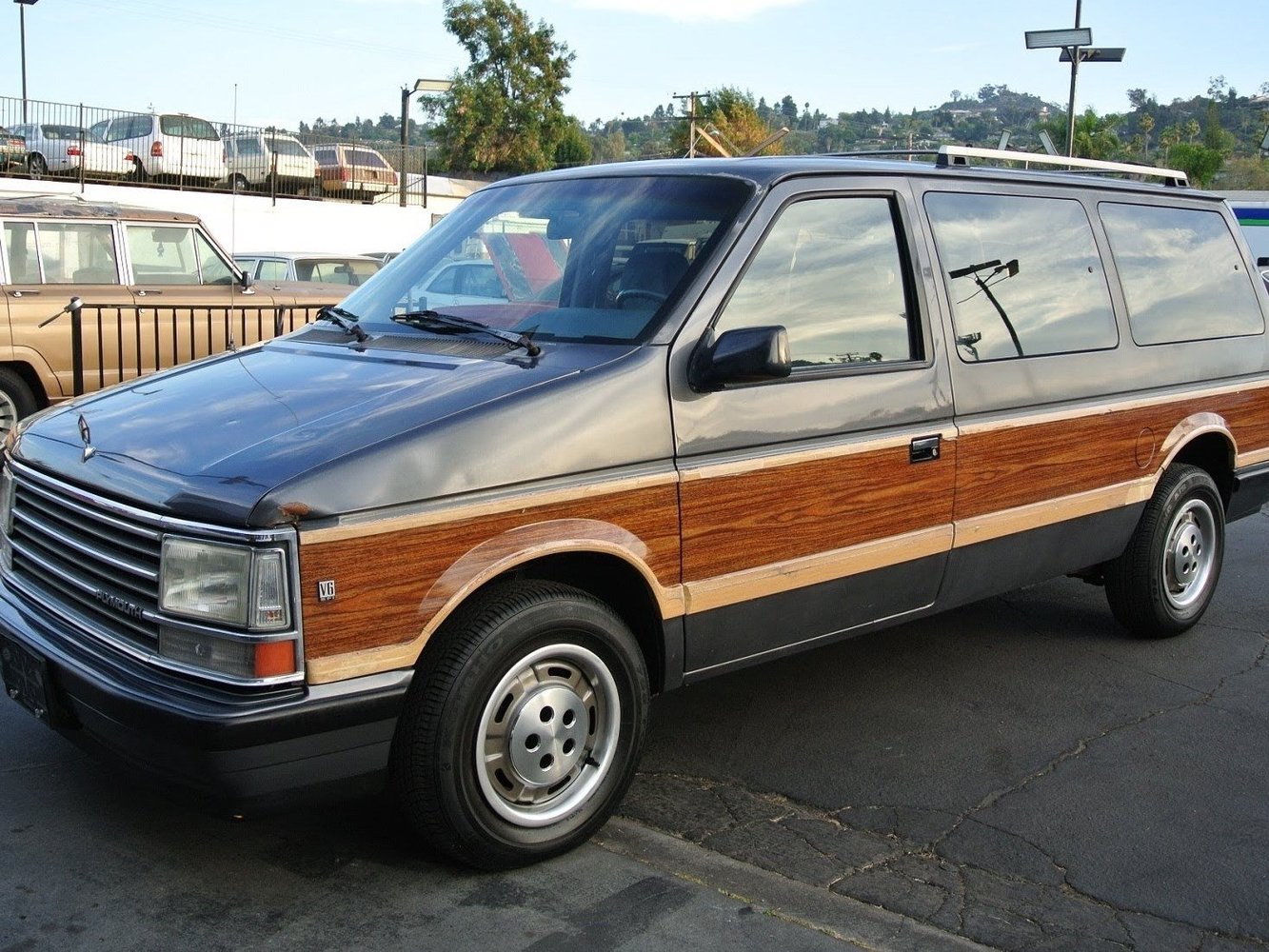 Dodge Caravan 1990